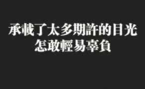 php实现在文章内容底部实现心情投票功能【付源码】